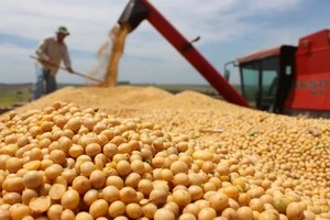 Експертні висновки про походження товару видаватимуться Торгово-промисловою палатою