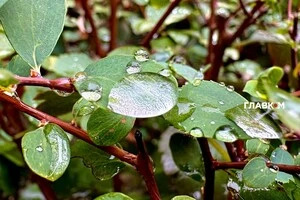 В Україні дощитиме: погода на 4 жовтня 2025