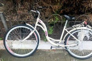 Чоловік із велосипедом в руках переходив колії та потрапив під поїзд 