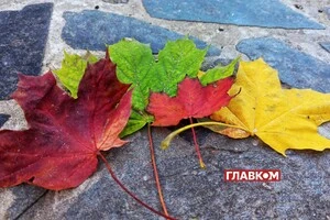 Чи чекати тепла? Синоптикиня розповіла, що буде з температурою в жовтні