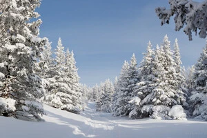 Україна опиниться в центрі зимового похолодання – попередній прогноз аналітиків