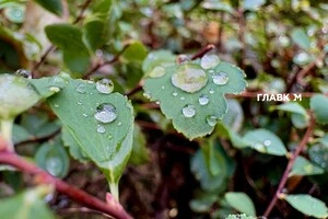 Прогноз погоди на 5 жовтня