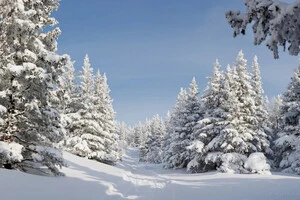 Одним из ключевых факторов, который может вызвать усиление морозов в Восточной Европе, называют повышенный уровень снежного покрова в Сибири
