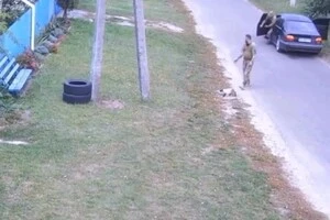 Київський ТЦК заперечив, що мобілізував кота