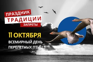 11 октября: какой сегодня праздник, традиции и запреты