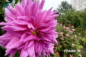 Прогноз погоди на 11 жовтня