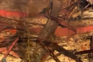 У США на військовому заводі стався вибух: є загиблі та зниклі безвісти (відео)