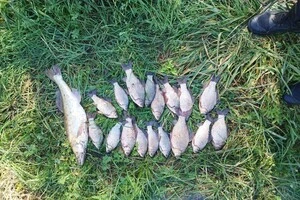 На Вінниччині рибалка-браконьєр наловив карасів на понад 30 тис грн