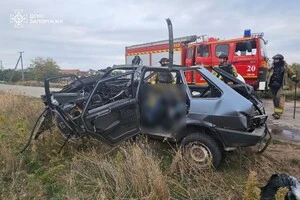 У Запорізькій області російський дрон вбив подружжя в автівці