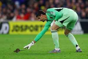 Гризун з'явився на полі на 66-й хвилині