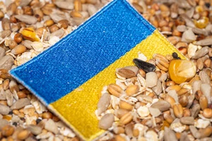 Мито на експорт насіння – перший крок до економічної зрілості