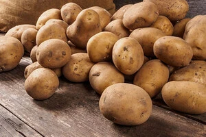 Українська картопля залишається для внутрішнього ринку через перешкоди експорту