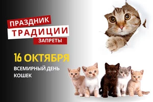 16 октября: какой сегодня праздник, традиции и запреты