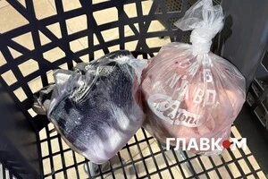 Поліетилен не зник? Як торгові заклади пакують рибу, м’ясо та овочі: огляд цін біопакетів