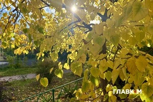 В Україні без опадів: погода на 17 жовтня