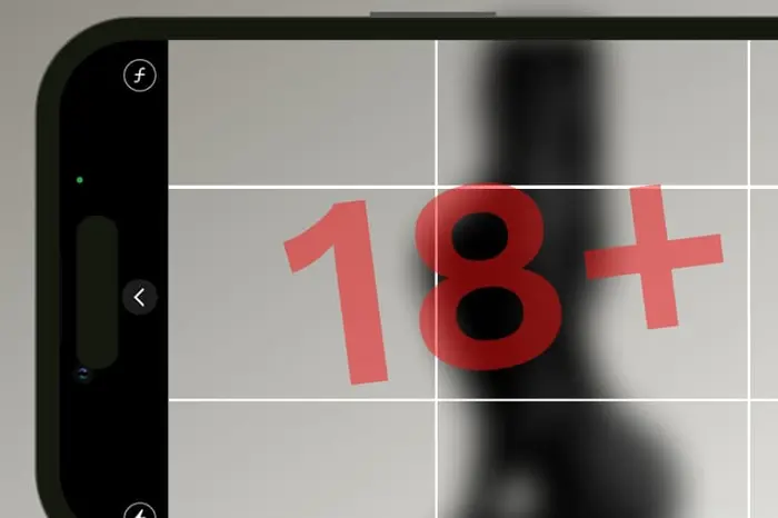 В Україні побільшало кримінальних проваджень за порнографію