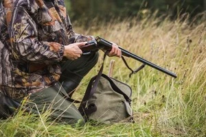 Відстріл здійснюватиметься щодо червоної лисиці, єнотовидного собаки, вовка та шакала