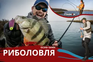 Штрафи для рибалок: що буде суворо заборонено робити з 1 листопада