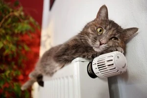 Київ відкладає опалювальний сезон