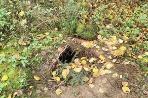 Прикордонна служба Польщі виявила тунель на кордоні з Білоруссю (фото)