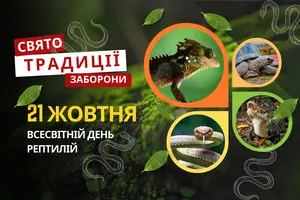 21 жовтня: яке сьогодні свято, традиції та заборони