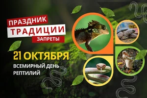 21 октября: какой сегодня праздник, традиции и запреты