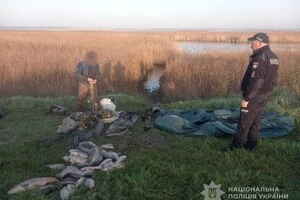 Браконьєр проведе рік під пробаційним наглядом