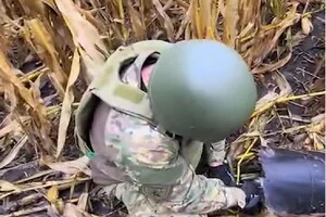 На Київщині чоловік знайшов нерозірваний «шахед» у кукурудзяному полі (відео)