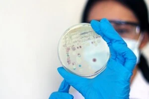 Міжнародні поїздки поширюють стійкі до антибіотиків бактерії