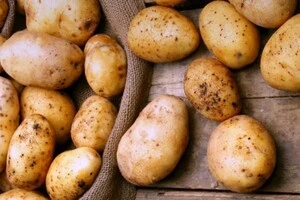 Імпорт картоплі з Польщі та Німеччини обвалили ціни на українському ринку