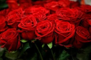 95% троянд потрапляють контрабандою. Нардепка розповіла, скільки грошей втратила Україна