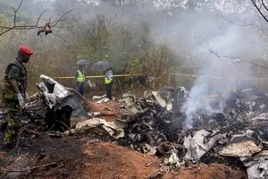 У Кенії розбився пасажирський літак з туристами: 11 загиблих