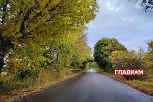 Прогноз погоди на 29 жовтня