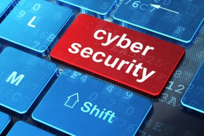 Нідерланди виділяють €10 млн на кіберзахист України