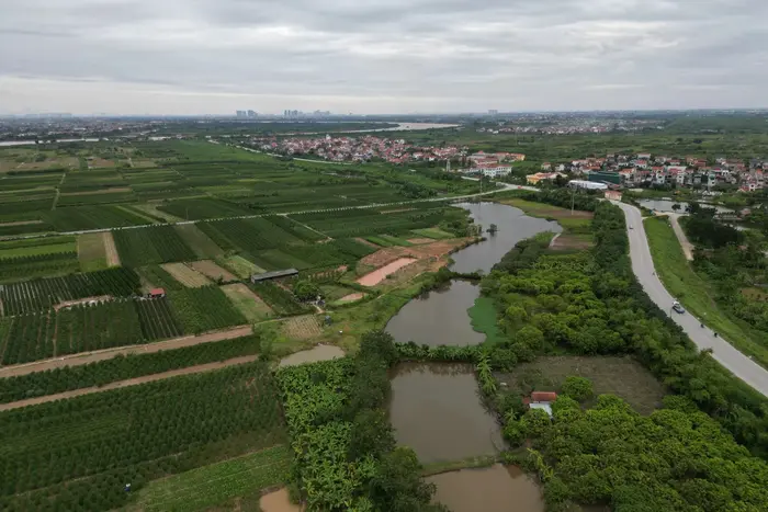 У В’єтнамі під загрозою зриву будівництво розкішного курорту Трампа