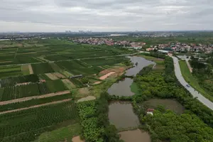 Поля на території нового розкішного гольф-курорту Trump вартістю $1,5 млрд у провінції Хун Єн