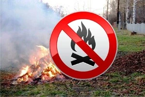 Спалювання листя та рослинних залишків: влада нагадала про штрафи