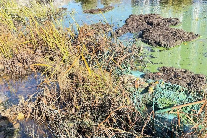 Синьо-зелена вода у Русанівському каналі: що показала перевірка екологів