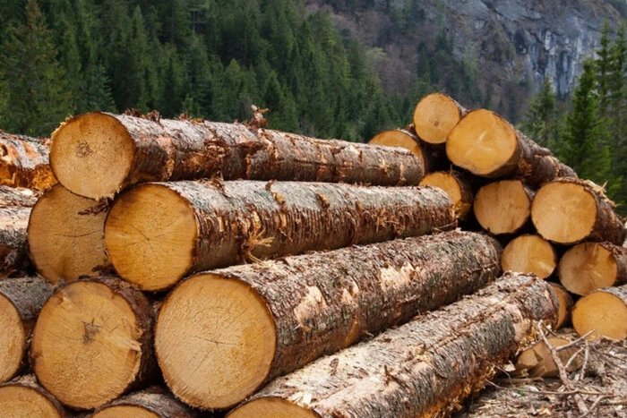 Уряд тимчасово заборонив експорт необробленої деревини