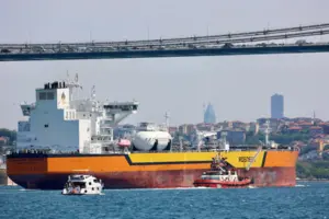 Туреччина збільшує закупівлі неросійської нафти: названо причину