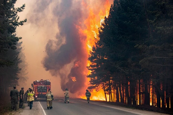 Росія приховує масштаби лісових пожеж – розвідка