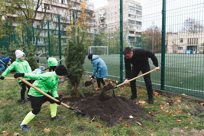 На Лісовому масиві під час толоки висаджено 15 сосен (фото)