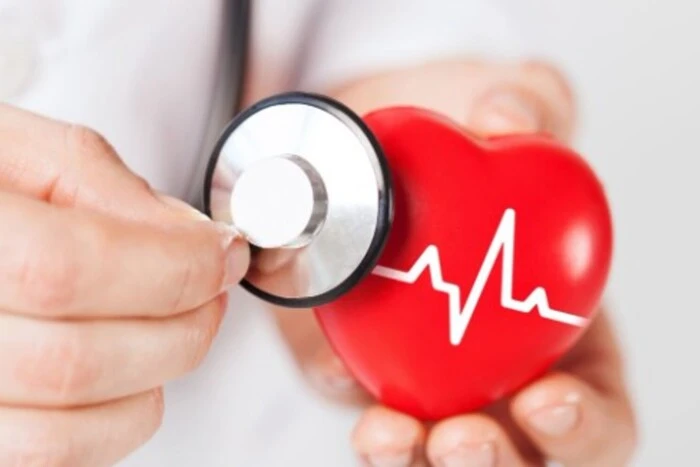 Вчені зробили прорив у дослідженні серця людини
