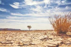 «Це шок, але передбачуваний»: ООН доповіла про розрив у кліматичних зобов'язаннях