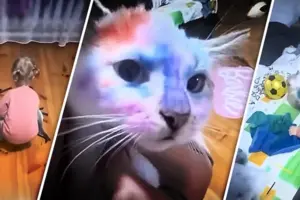 Поліція віддала кота, якого дитина розмалювала фломастерами, зоозахисникам (фото)