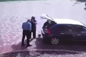 Вкрав собаку біля готелю? Нардеп Мазурашу відреагував на звинувачення