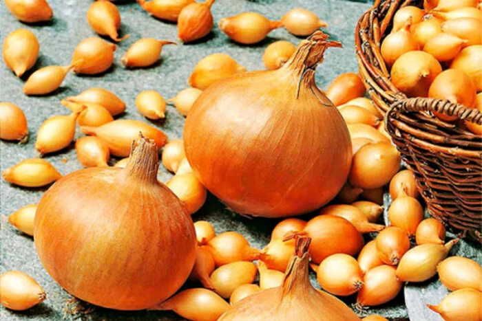 В Україні різко здешевшав популярний овоч