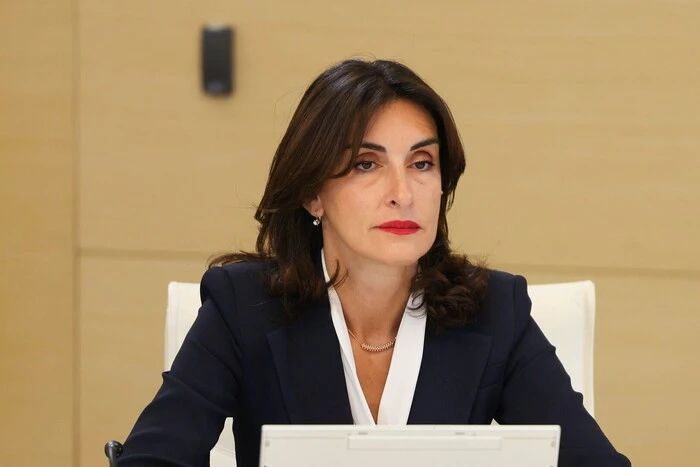 Глава грузинського МЗС звинуватила Україну в перешкоджанні вступу до ЄС