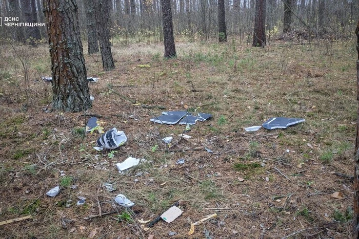 Під час збирання грибів здетонував російський БпЛА: двоє підлітків травмувались