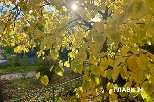 В Україні хмарно з проясненнями, без опадів: погода на 7 листопада 2025